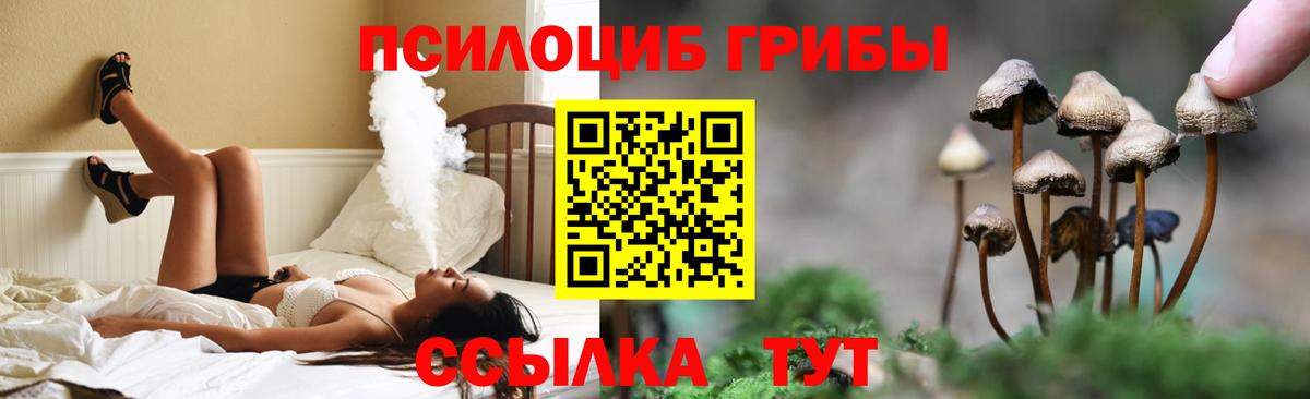 Бутурлиновка  Галлюциногенные грибы прущие грибы  Вход с VPN 